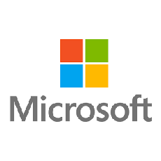 microsoft.net consultant services